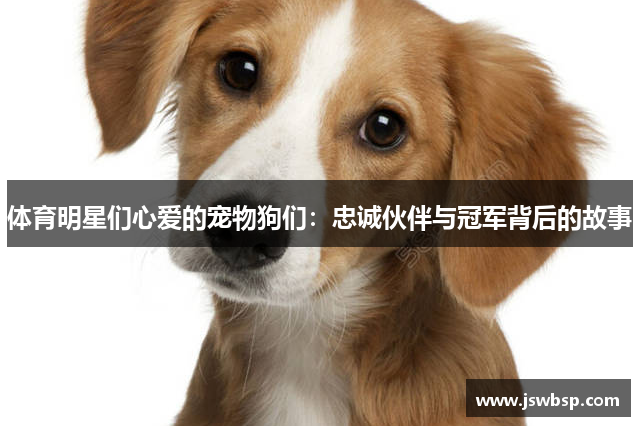 体育明星们心爱的宠物狗们：忠诚伙伴与冠军背后的故事